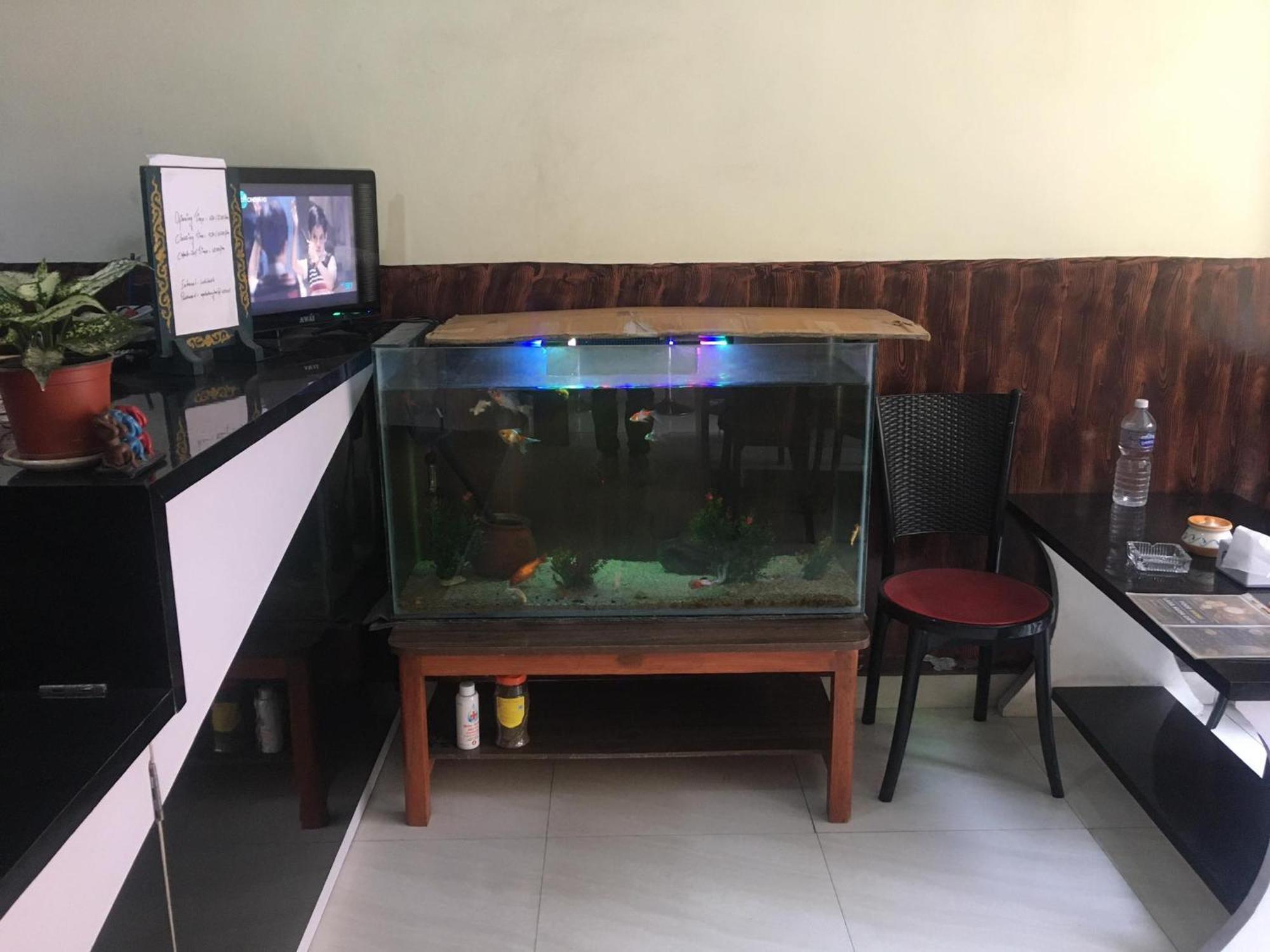 Lasa Kusa Homestay Lalitpur Экстерьер фото